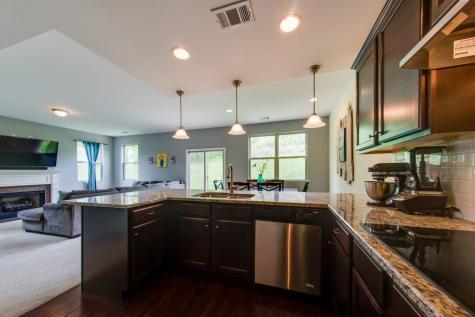 950 Hunters Lane Springfield TN 37172