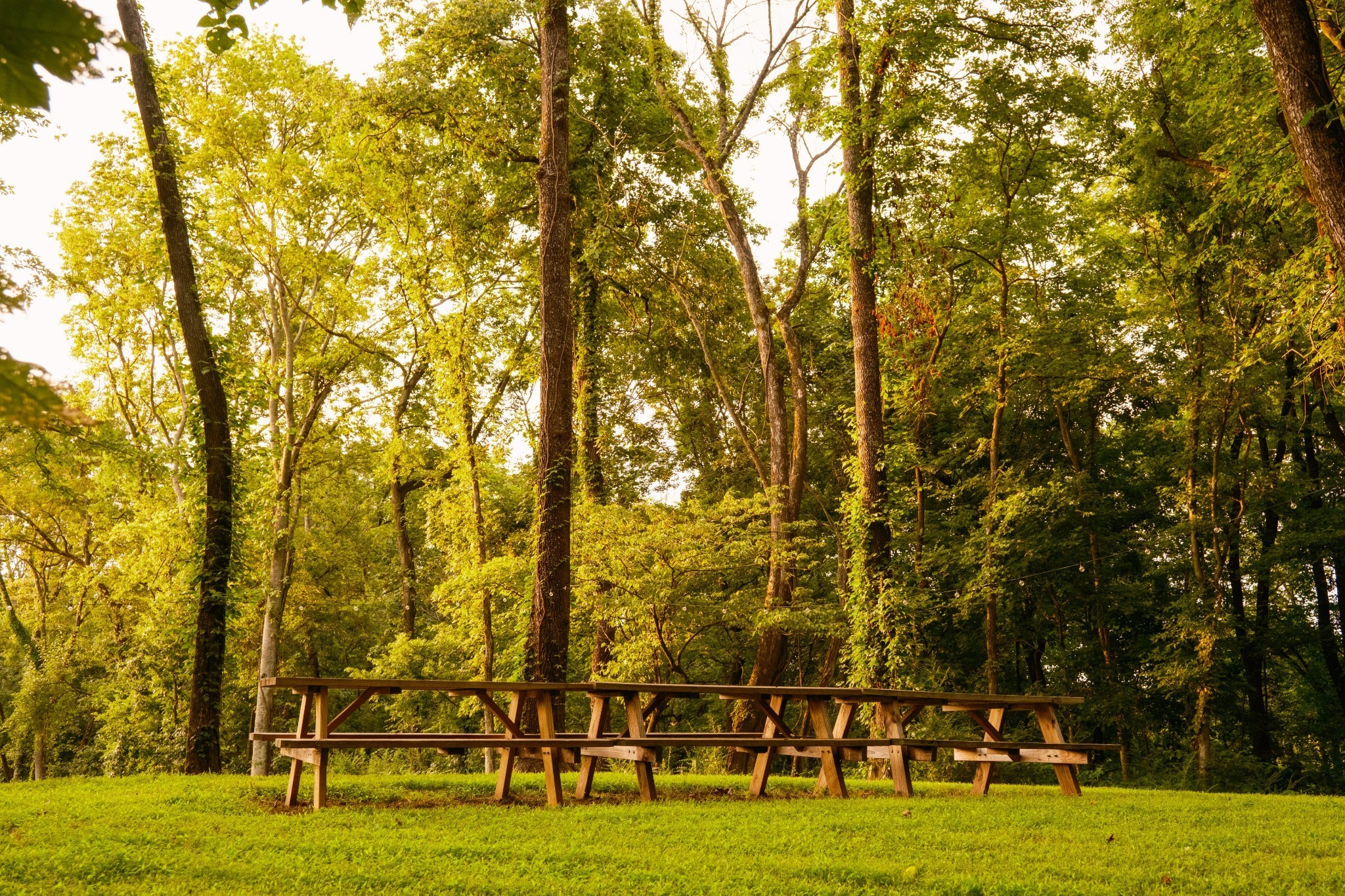 1489 Old Tva Road Columbia TN 38401