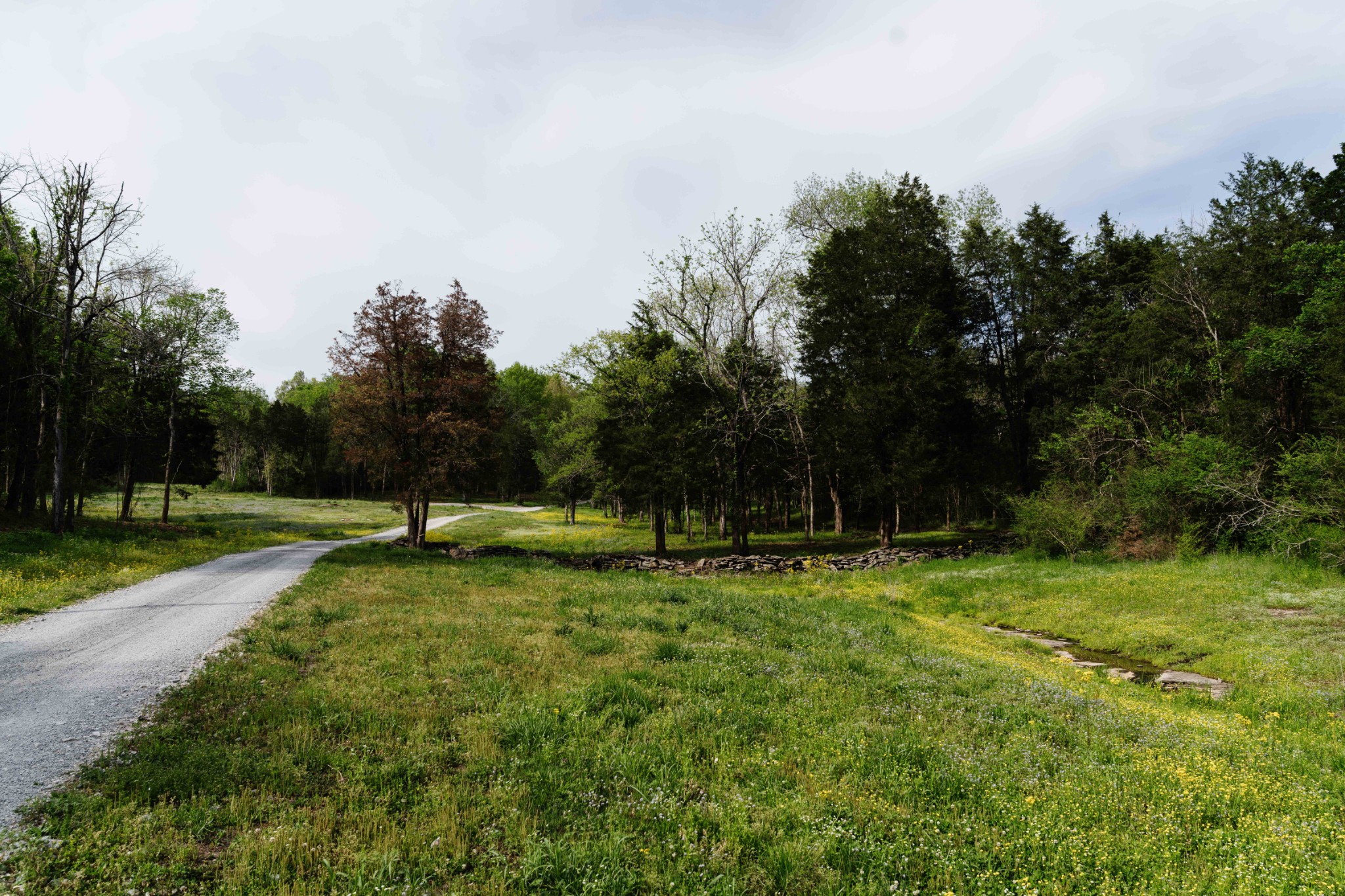 1489 Old Tva Road Columbia TN 38401