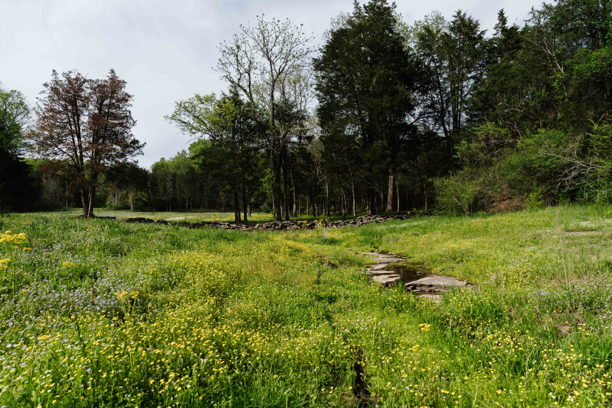 1489 Old Tva Road Columbia TN 38401