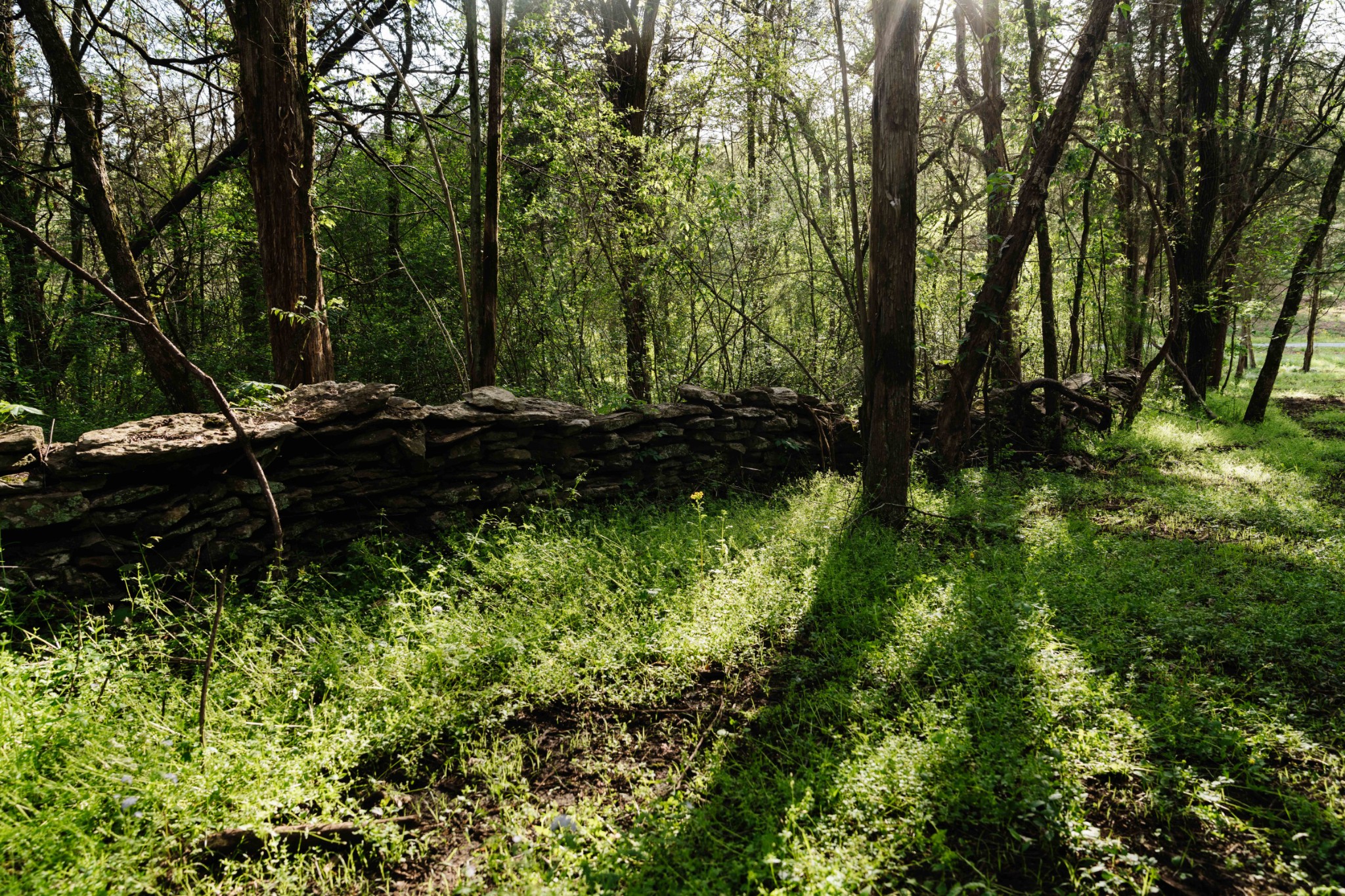 1489 Old Tva Road Columbia TN 38401