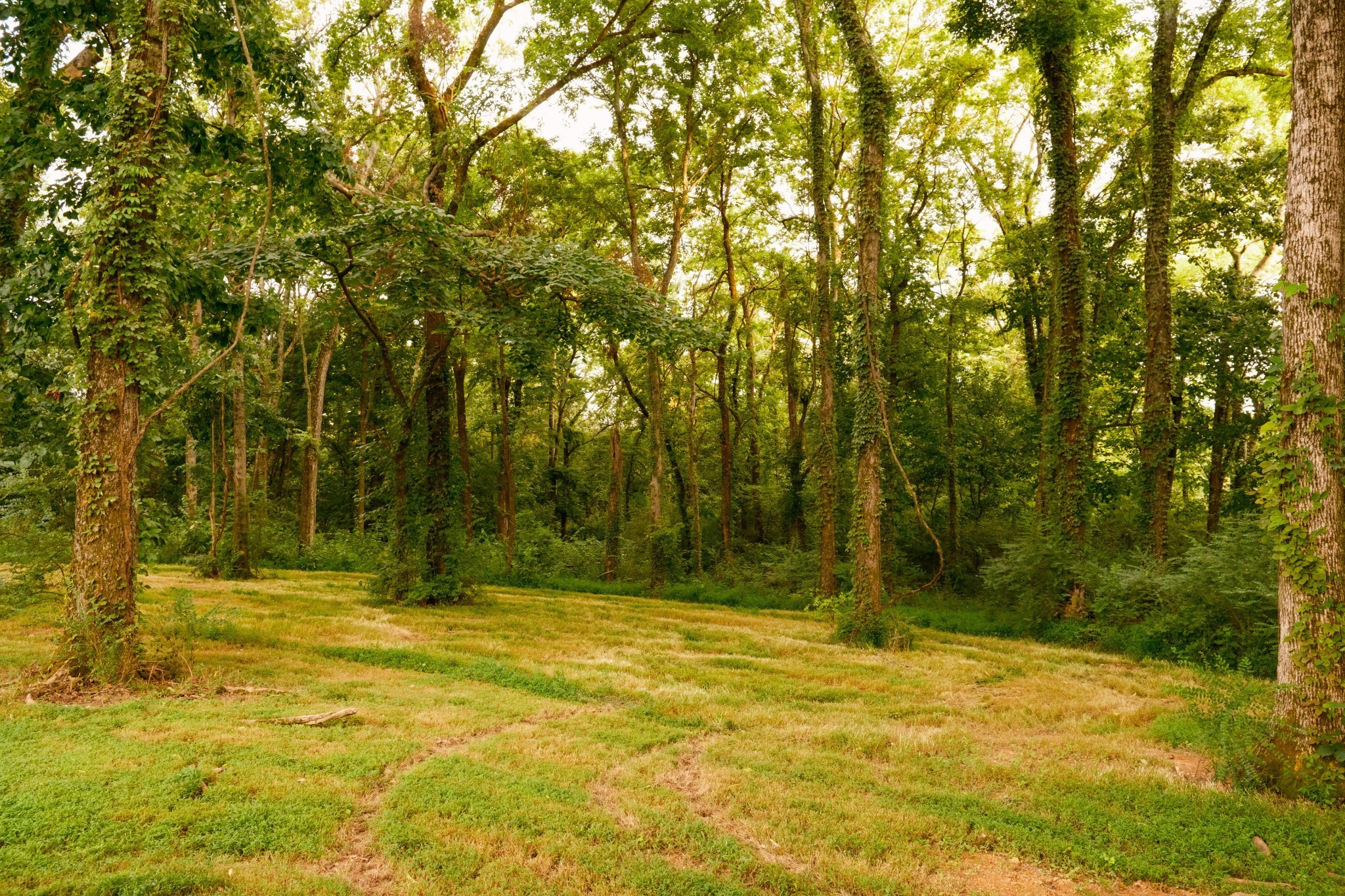 1489 Old Tva Road Columbia TN 38401
