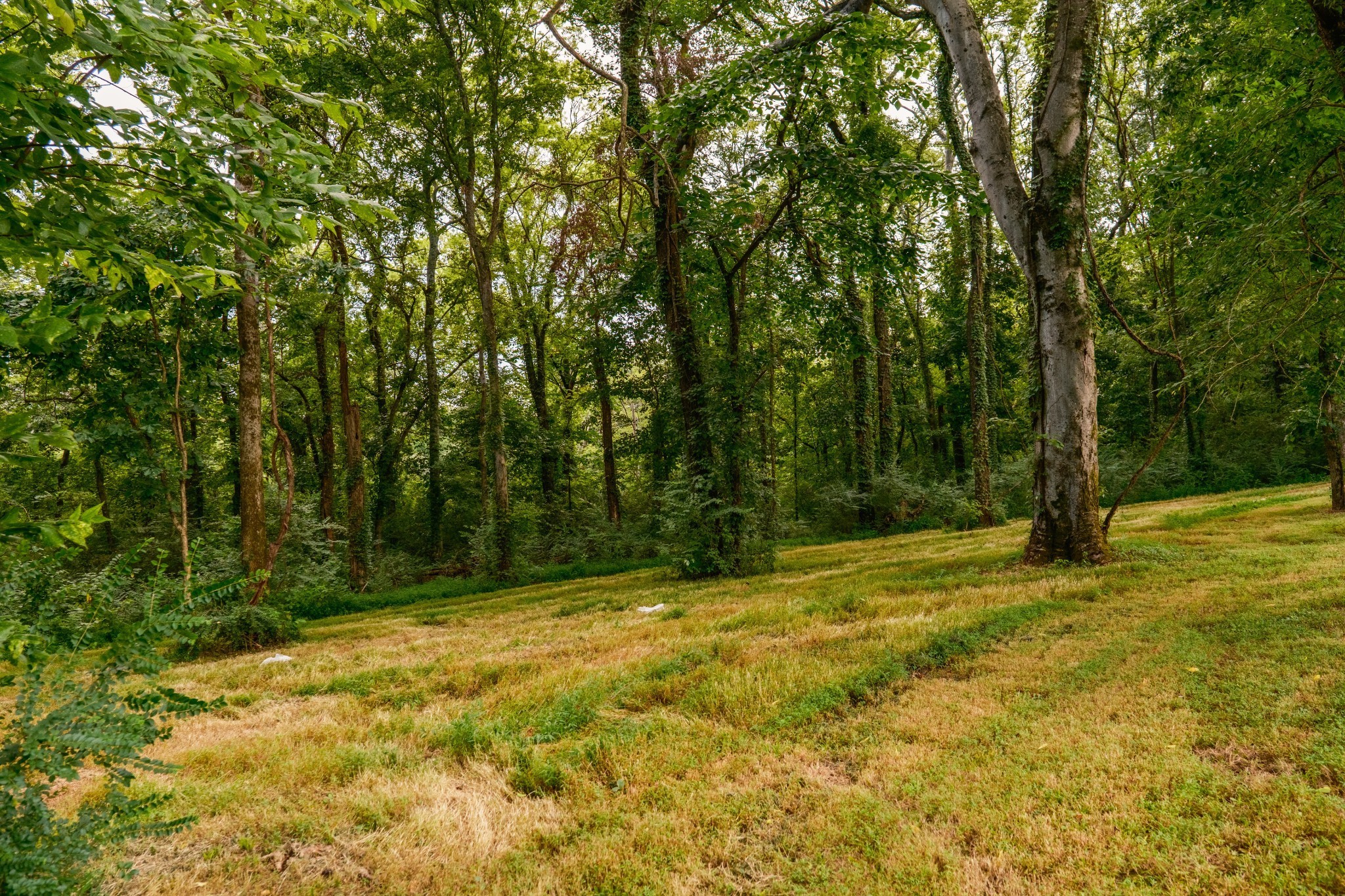 1489 Old Tva Road Columbia TN 38401