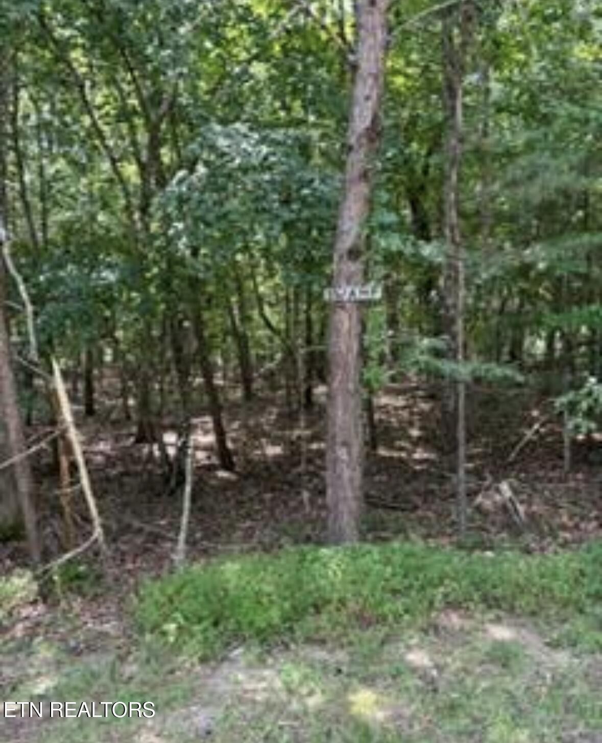 125 Lechmere Drive Crossville TN 38558