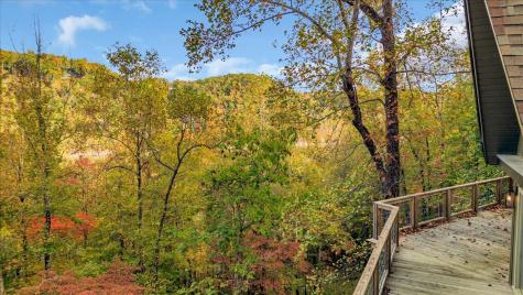 268 Summer Court Smithville TN 37166