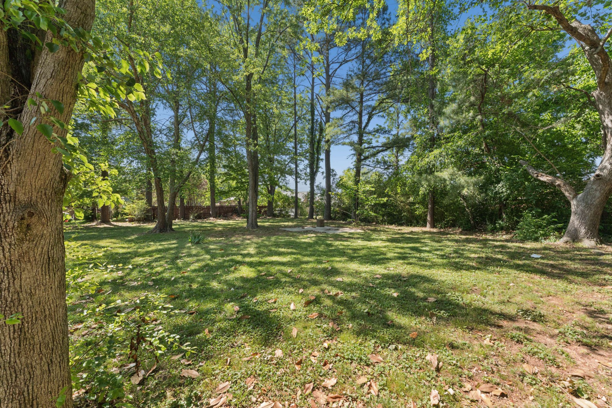 1814 Haynes Drive Murfreesboro TN 37129