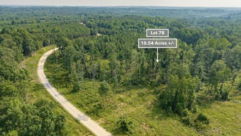 0 Cox Hollow Dover TN 37058