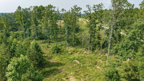 0 Cox Hollow Dover TN 37058