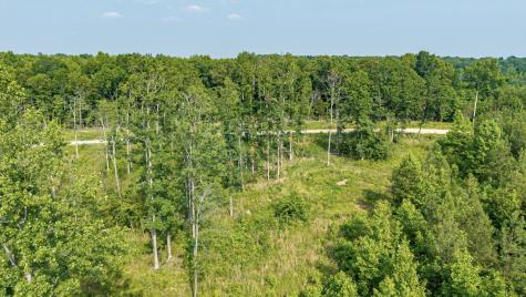 0 Cox Hollow Dover TN 37058