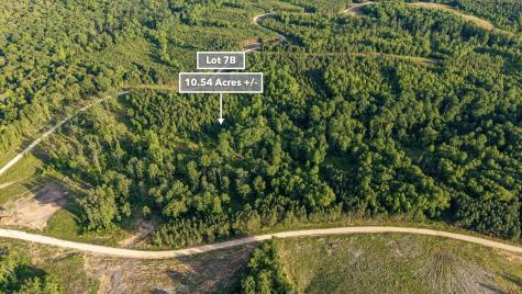 0 Cox Hollow Dover TN 37058