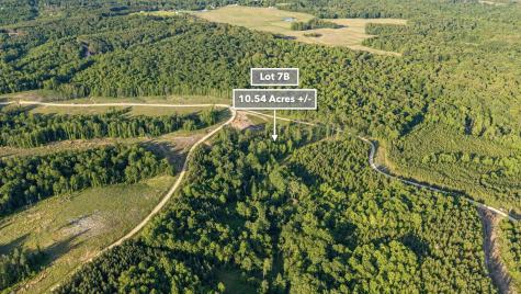 0 Cox Hollow Dover TN 37058
