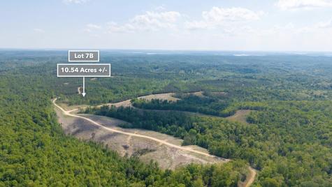 0 Cox Hollow Dover TN 37058
