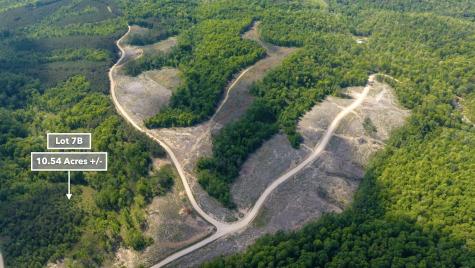 0 Cox Hollow Dover TN 37058