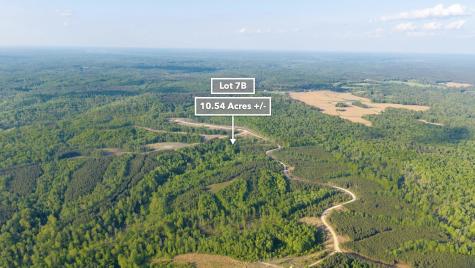 0 Cox Hollow Dover TN 37058