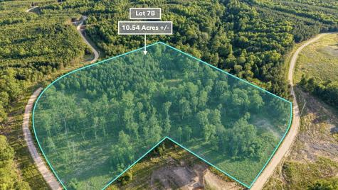 0 Cox Hollow Dover TN 37058