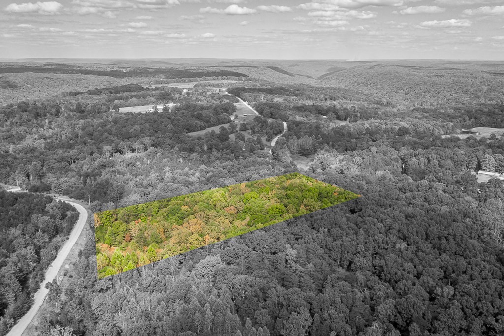 677 Golden Pointe Road Spencer TN 38585