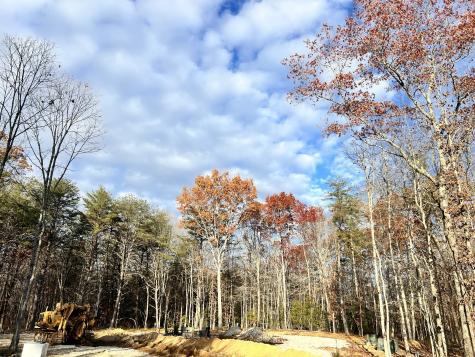 72 Lady Slipper Lane Monteagle TN 37356