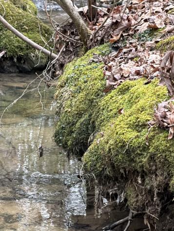 72 Lady Slipper Lane Monteagle TN 37356