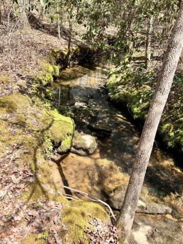 72 Lady Slipper Lane Monteagle TN 37356