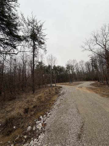 72 Lady Slipper Lane Monteagle TN 37356