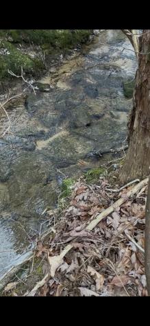 72 Lady Slipper Lane Monteagle TN 37356