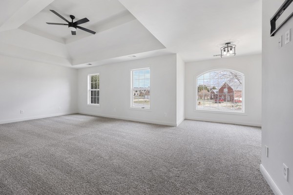 5007 Caira Court Pleasant View TN 37146