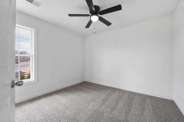 5007 Caira Court Pleasant View TN 37146