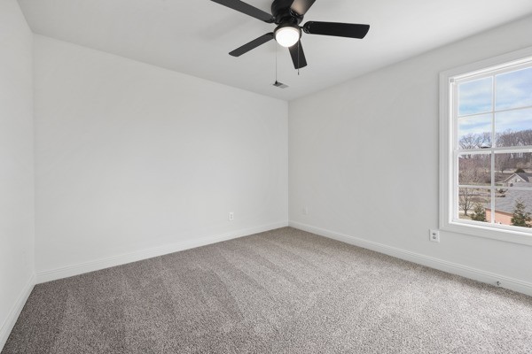 5007 Caira Court Pleasant View TN 37146