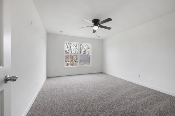 5007 Caira Court Pleasant View TN 37146