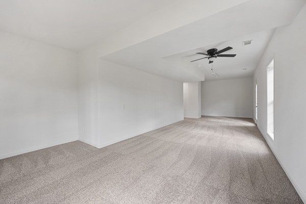 5007 Caira Court Pleasant View TN 37146