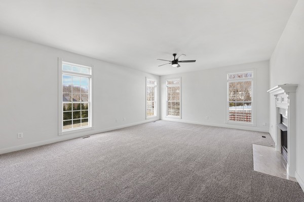 5007 Caira Court Pleasant View TN 37146
