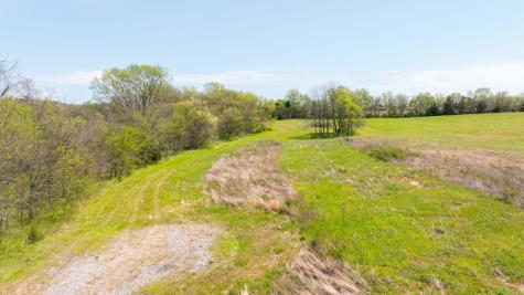 0 Littleton Ranch Road Castalian Springs TN 37031