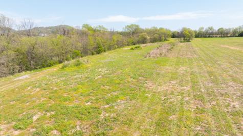 0 Littleton Ranch Road Castalian Springs TN 37031