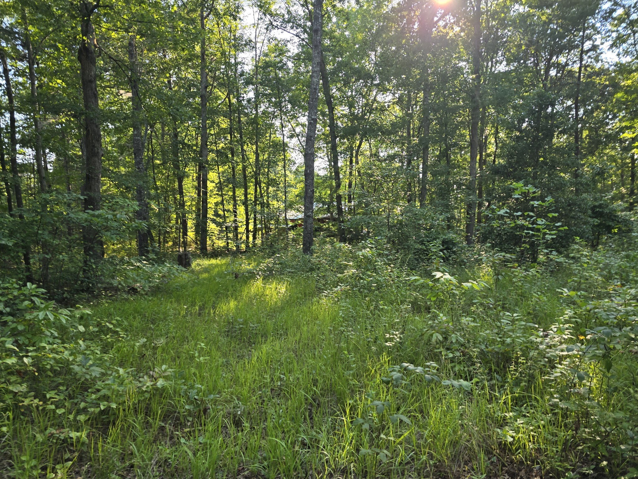 2185 Northcutts Cove Road Beersheba Springs TN 37305