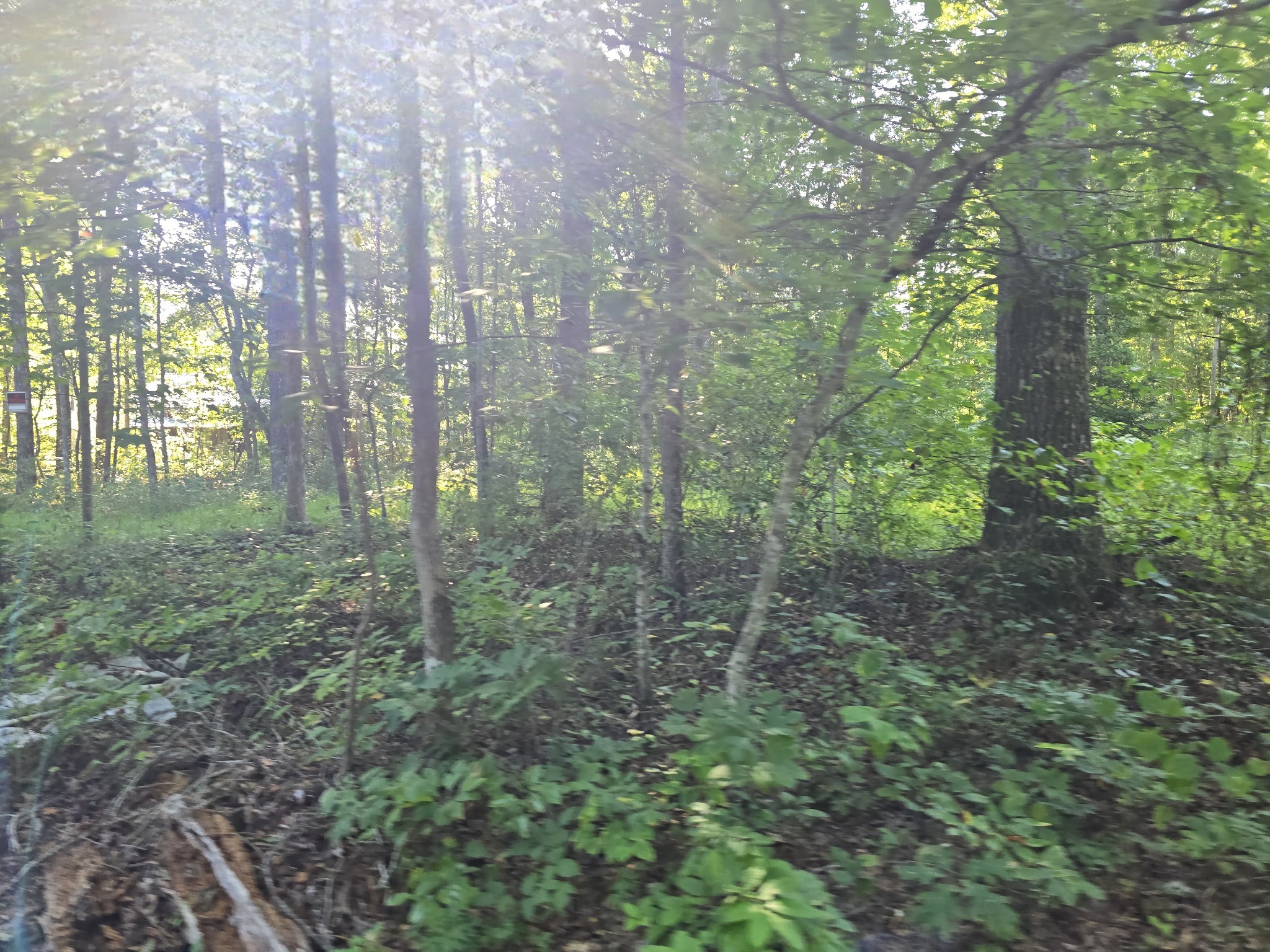 2185 Northcutts Cove Road Beersheba Springs TN 37305