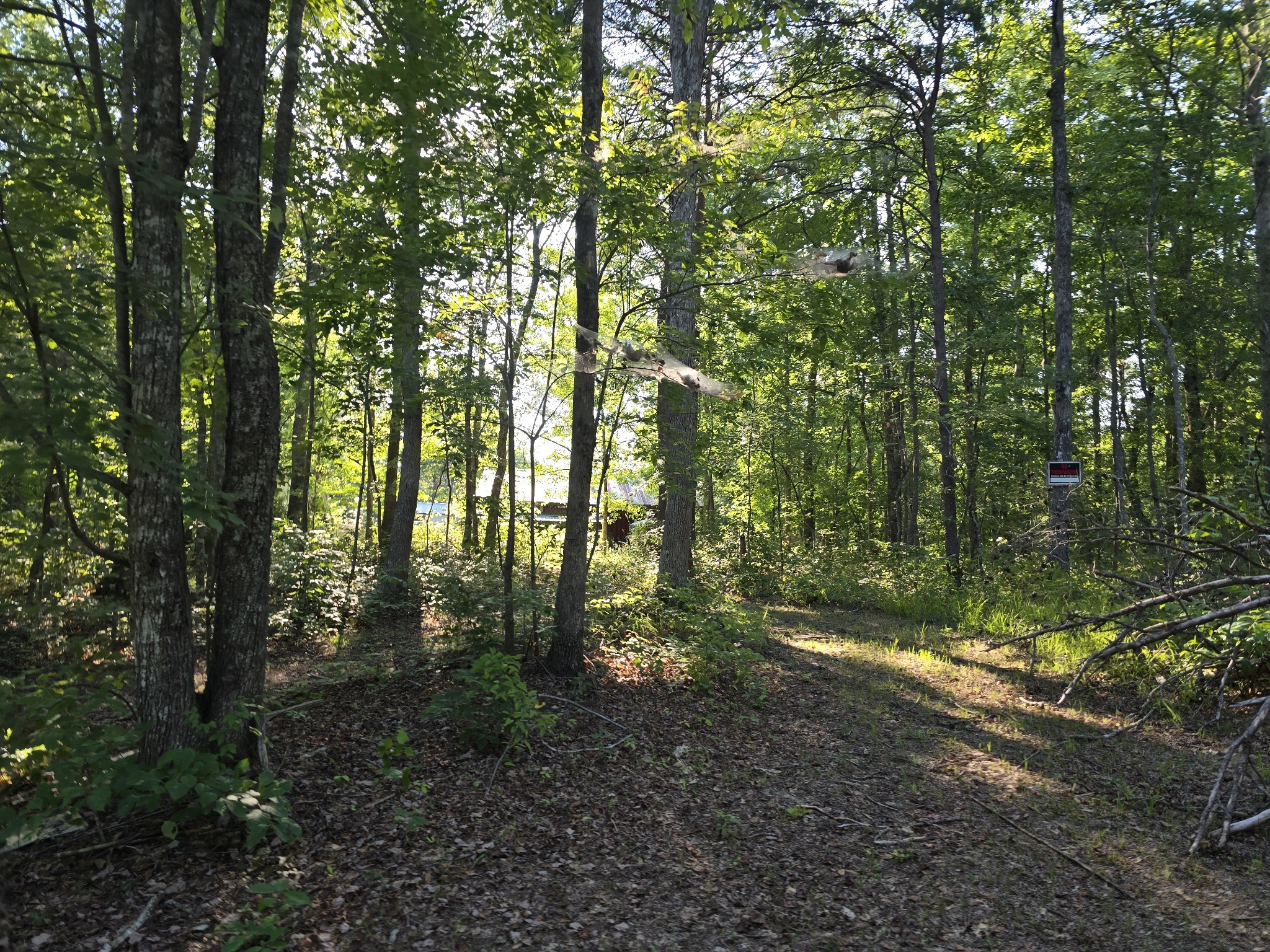 2185 Northcutts Cove Road Beersheba Springs TN 37305