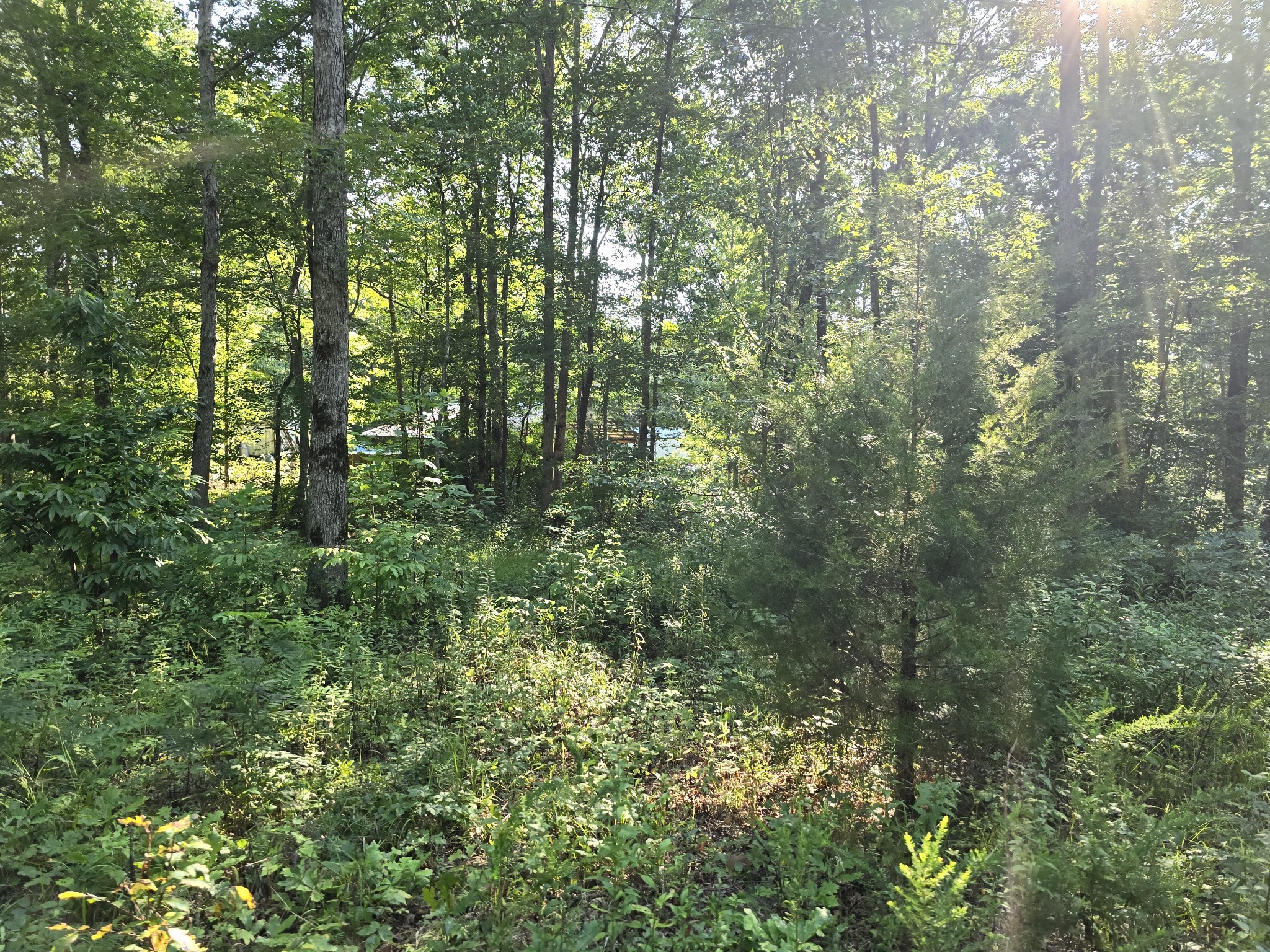 2185 Northcutts Cove Road Beersheba Springs TN 37305