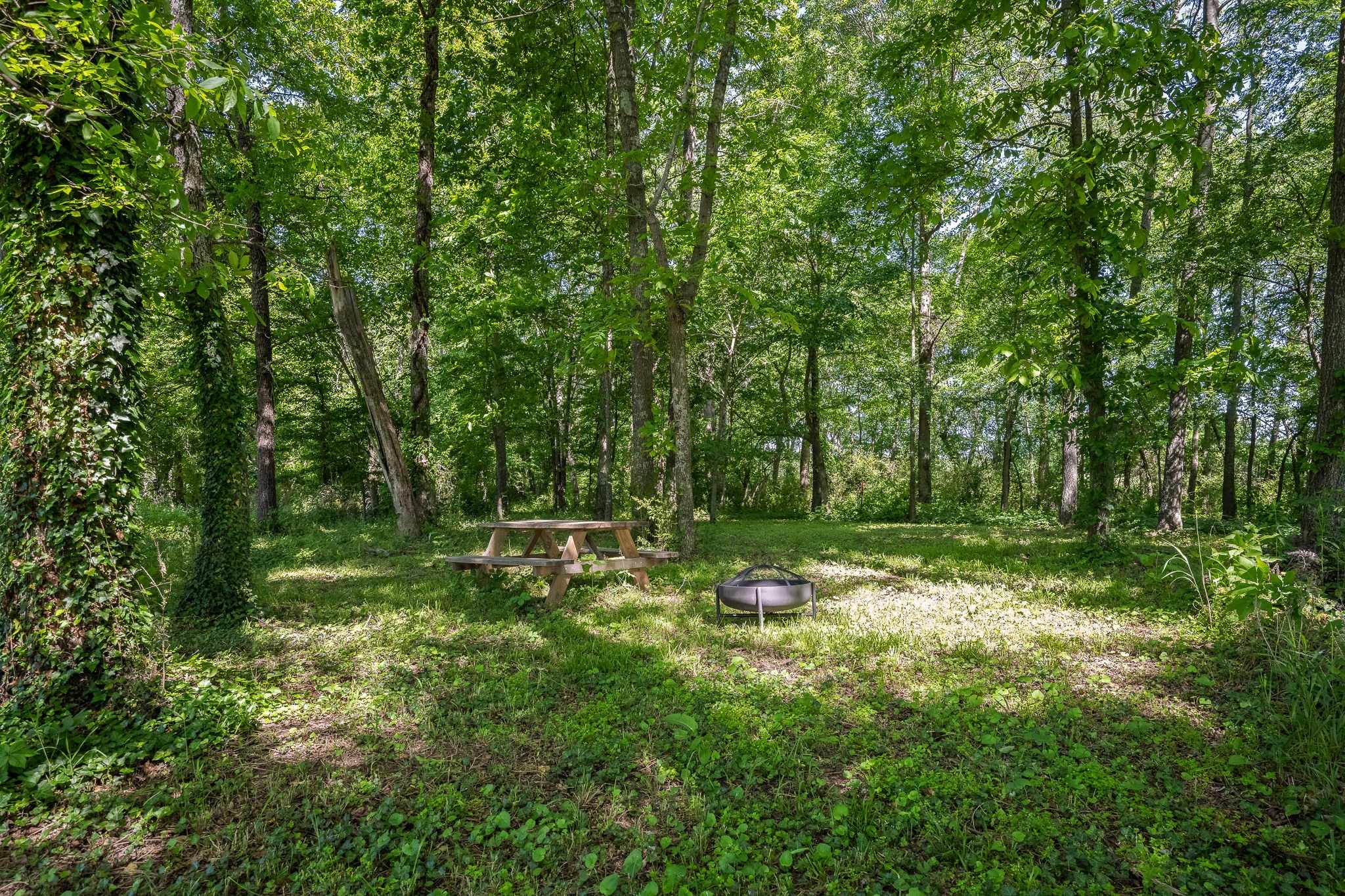 796 Deberry Road Morrison TN 37357
