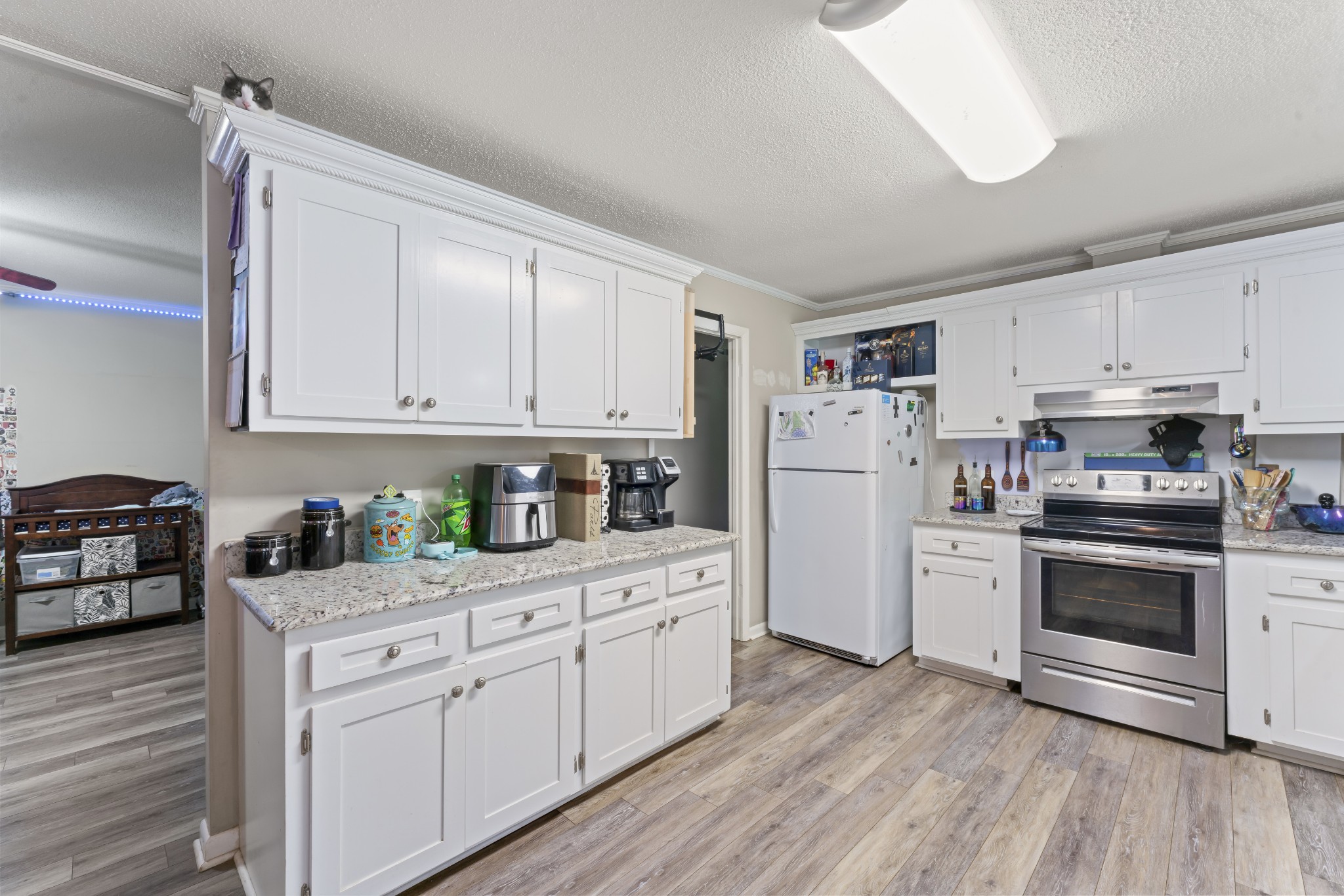 1311 Northcutt Drive Shelbyville TN 37160