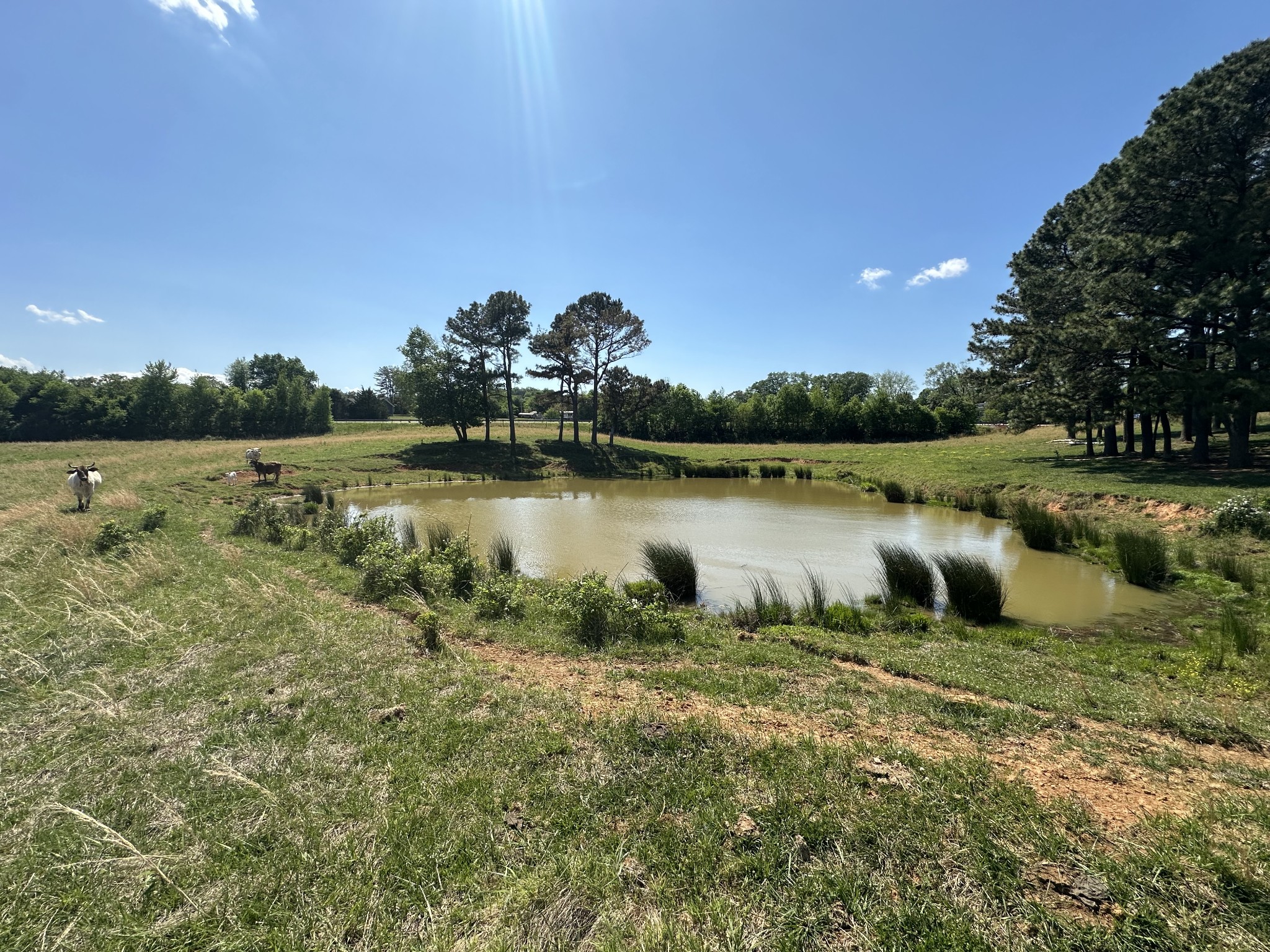 0 Charles Golden Road Sparta TN 38583