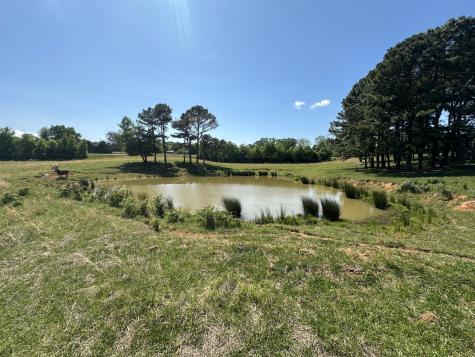 0 Charles Golden Road Sparta TN 38583