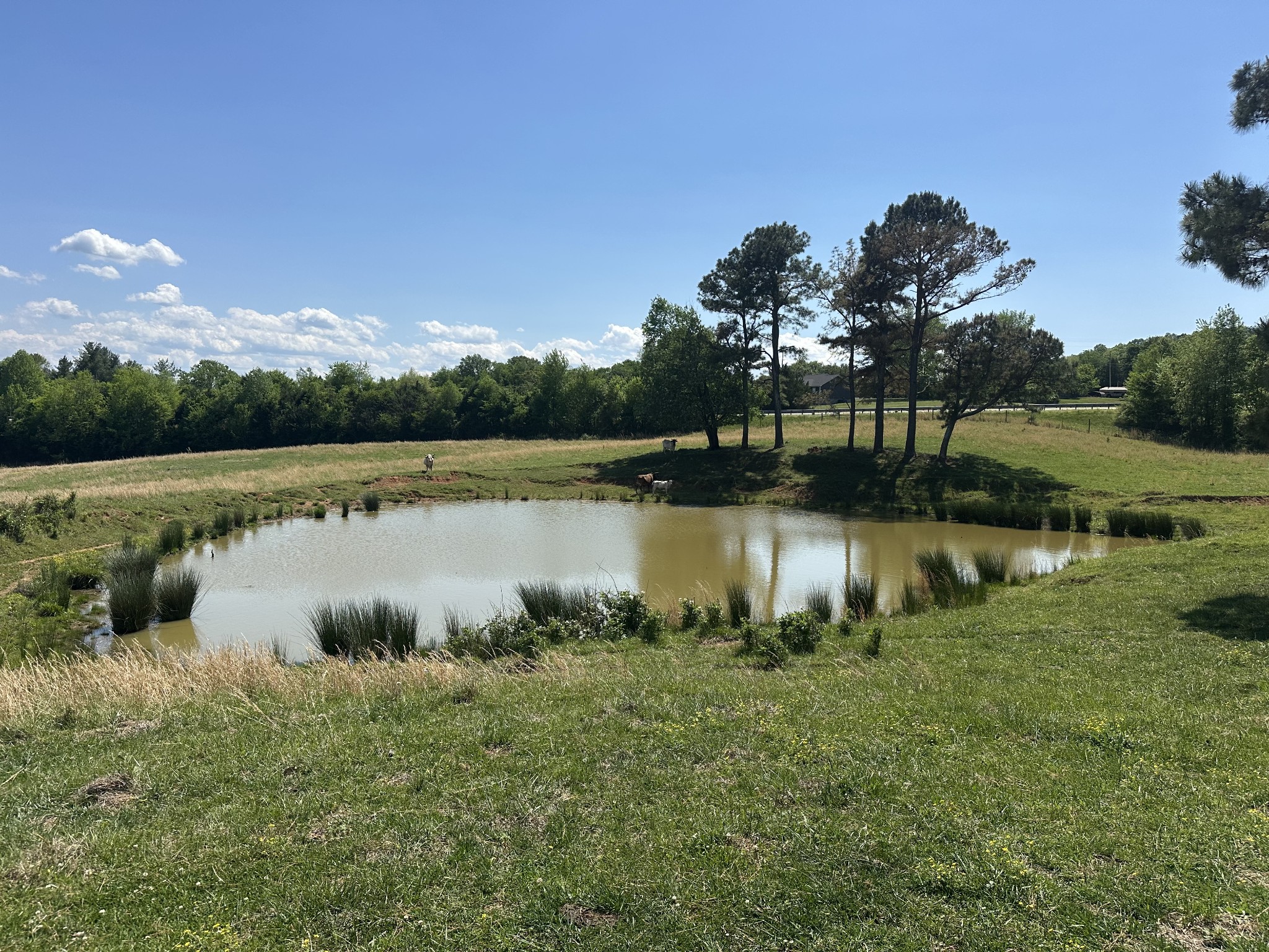 0 Charles Golden Road Sparta TN 38583