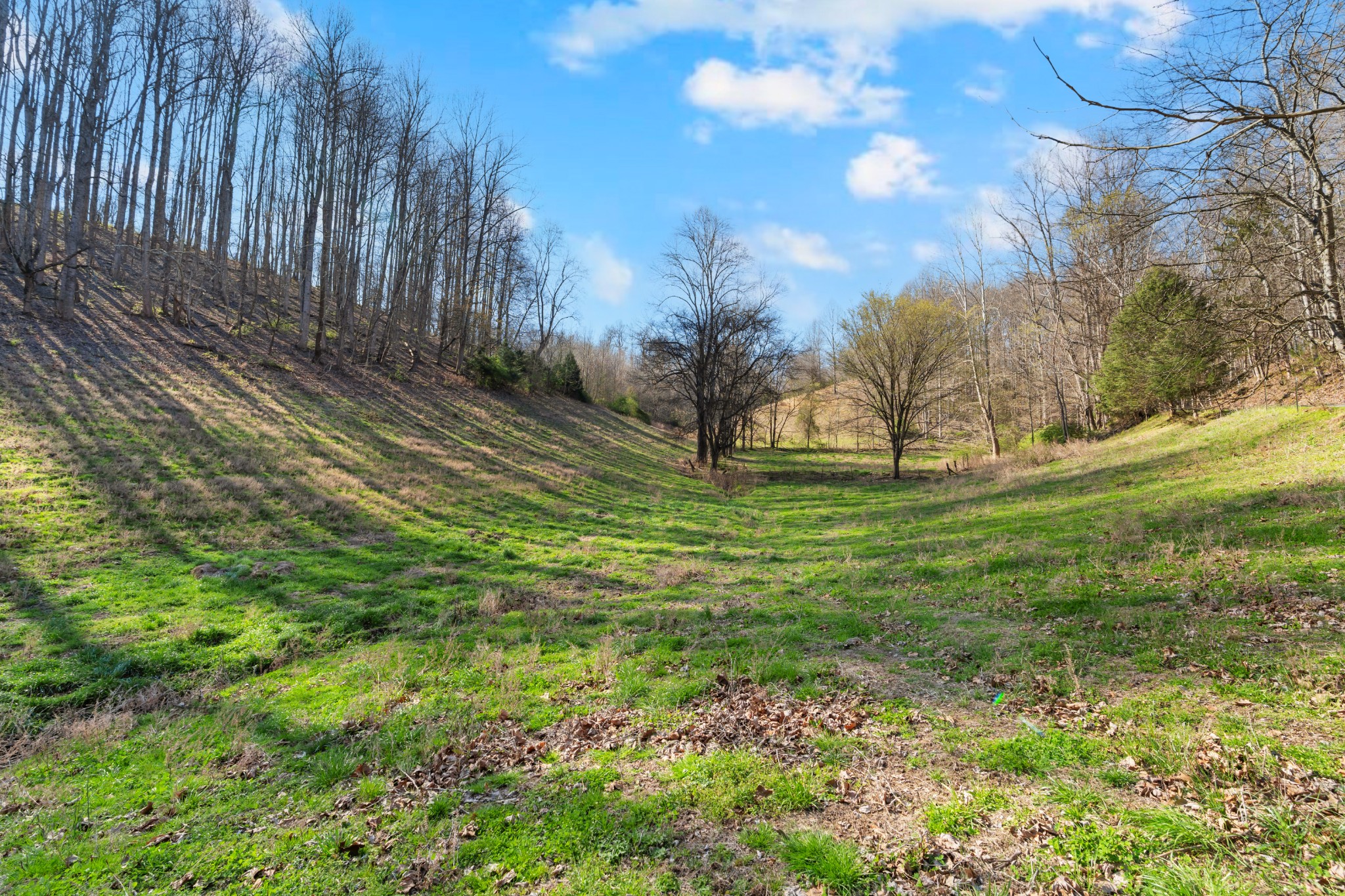 546 Womack Hollow Road Liberty TN 37095