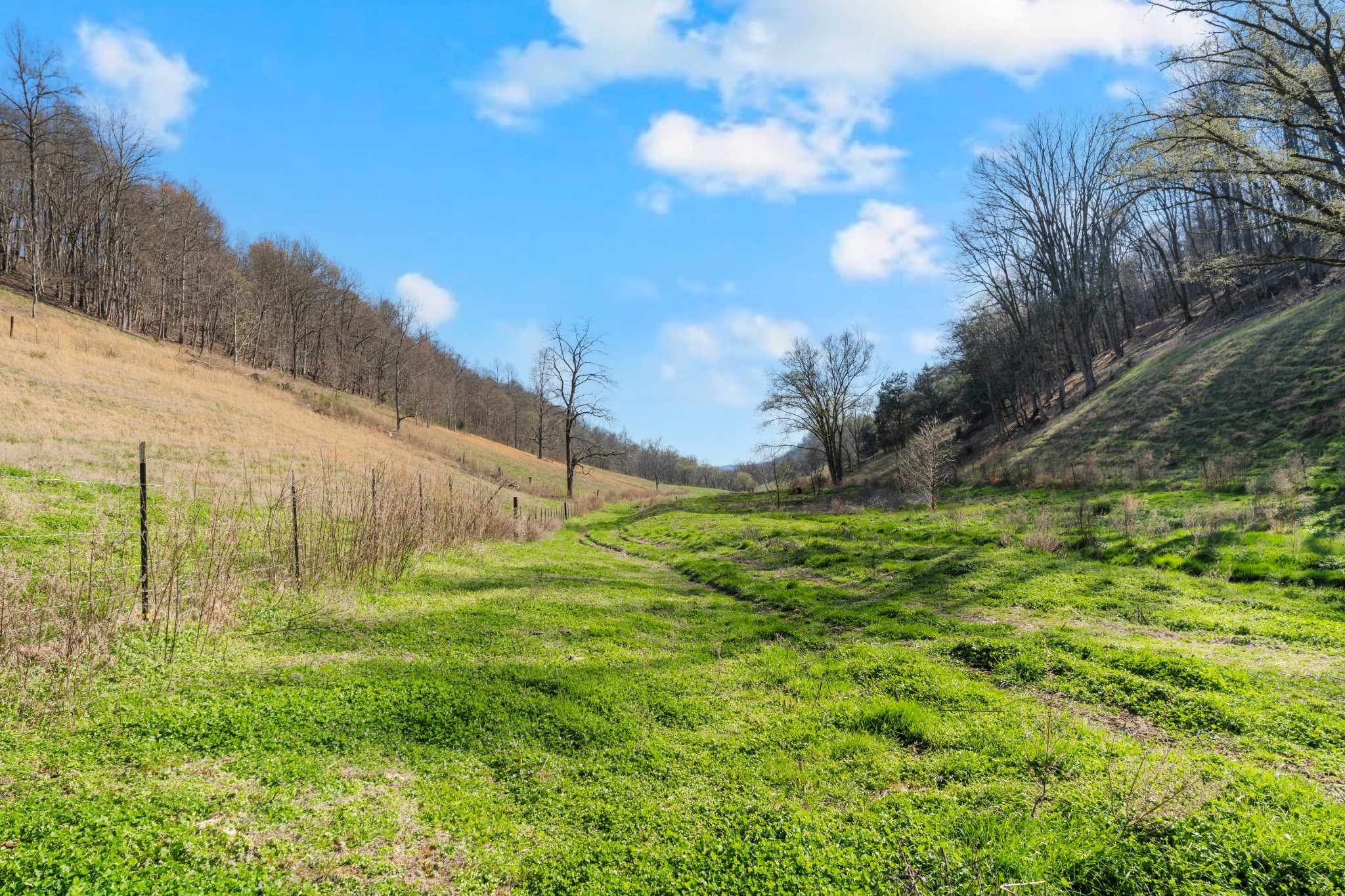546 Womack Hollow Road Liberty TN 37095