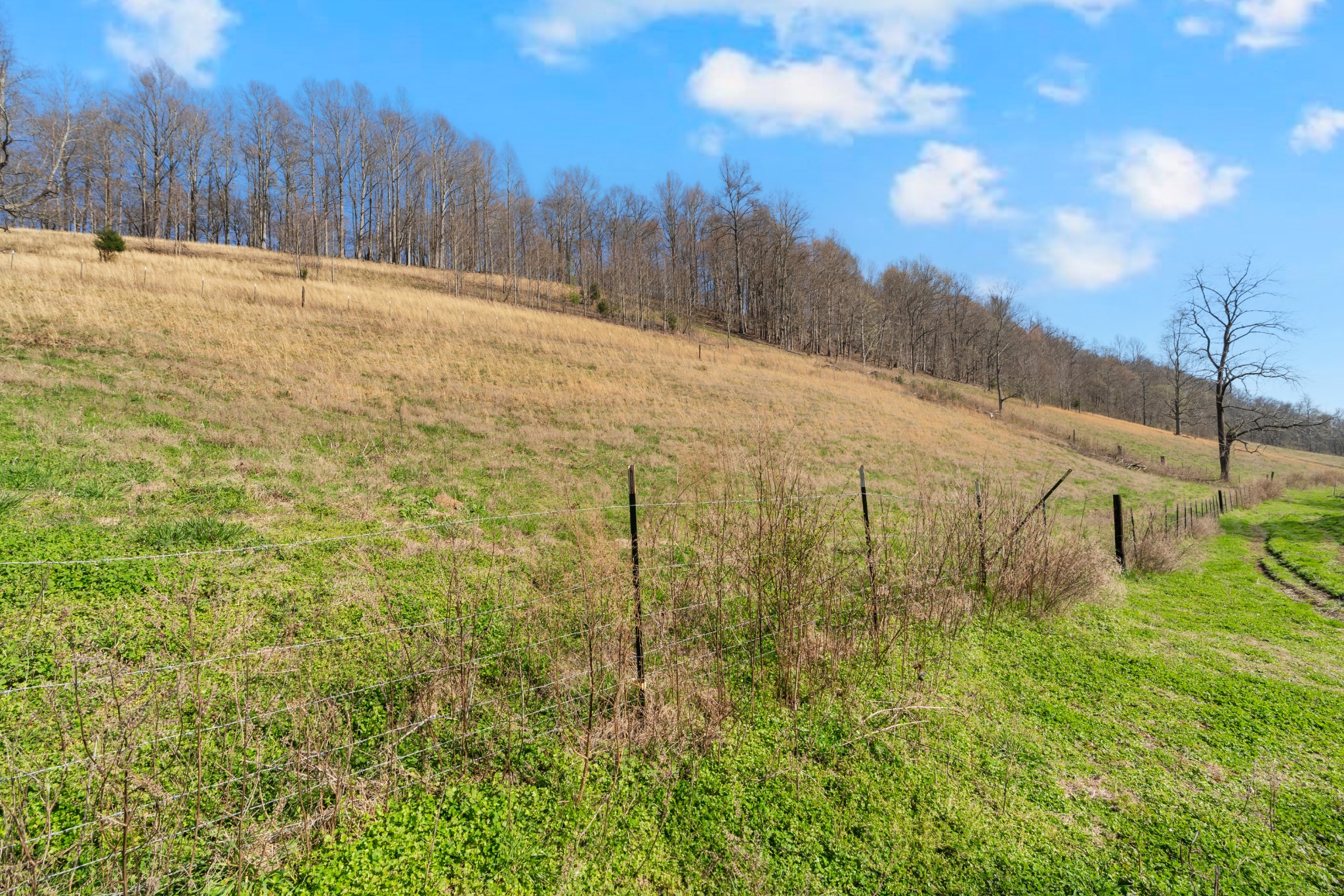 546 Womack Hollow Road Liberty TN 37095