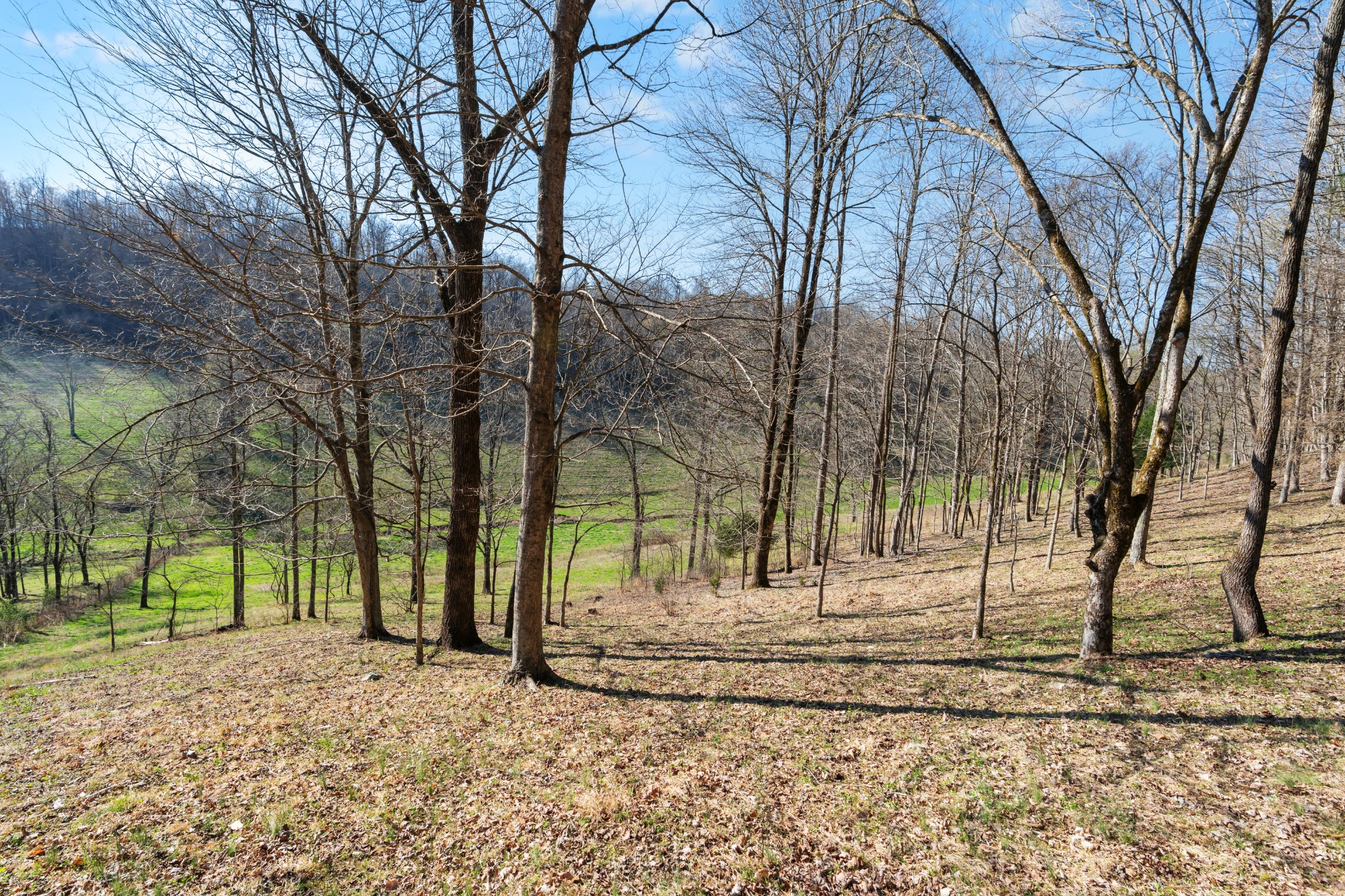 546 Womack Hollow Road Liberty TN 37095