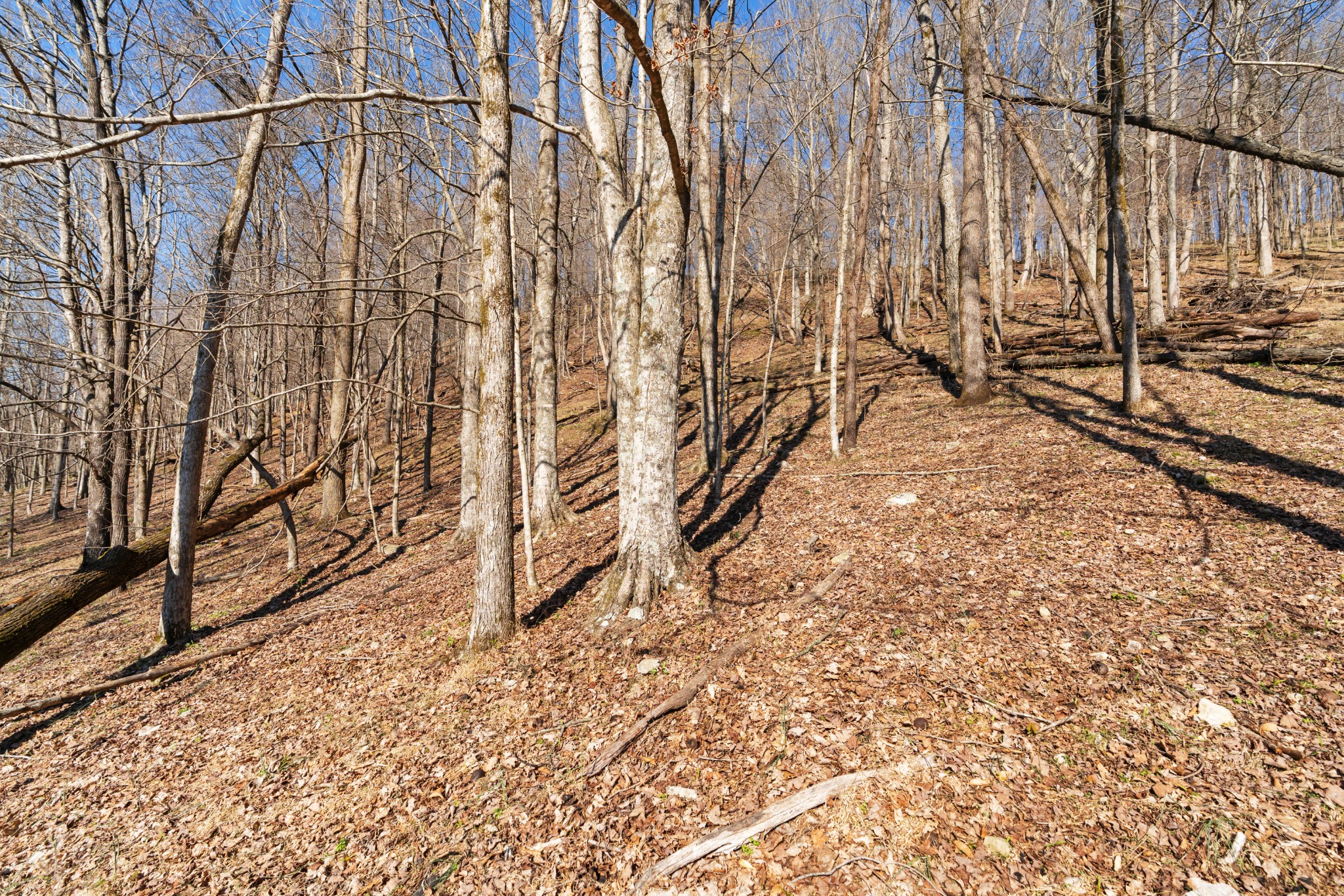 546 Womack Hollow Road Liberty TN 37095