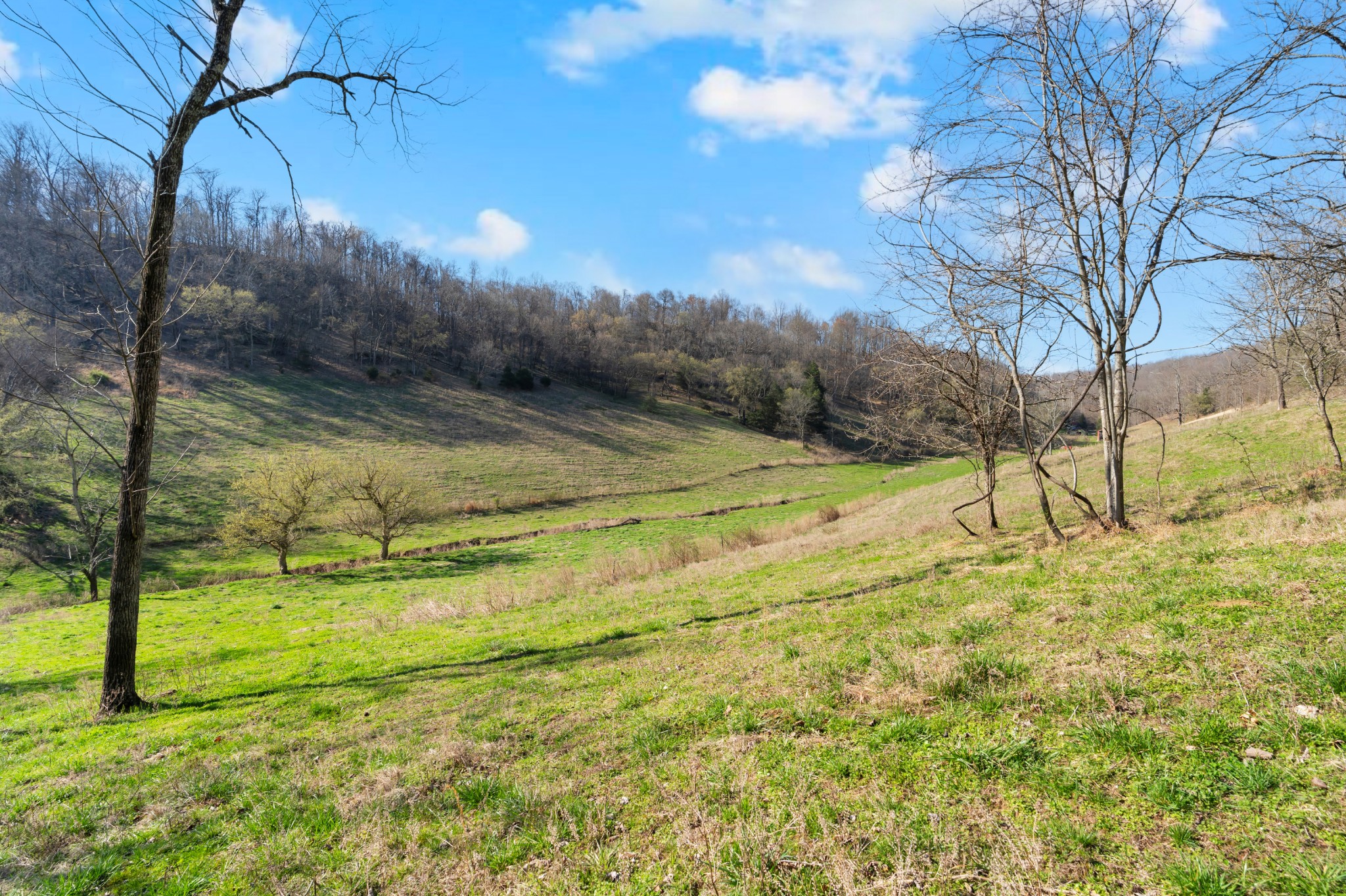 546 Womack Hollow Road Liberty TN 37095
