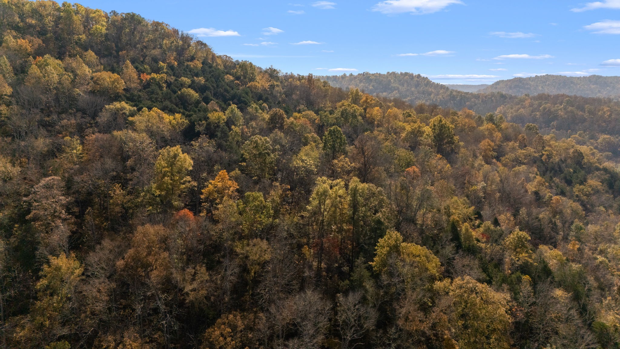 2 Burt Burgen Road Woodbury TN 37190
