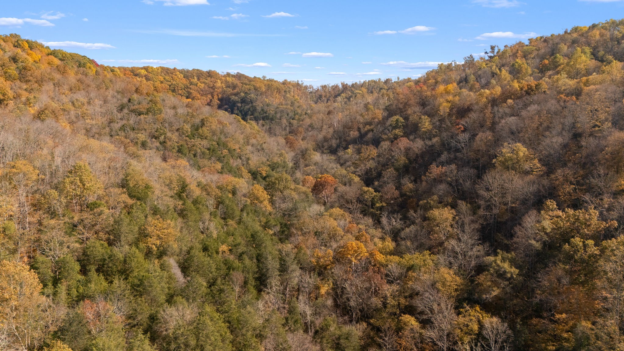 2 Burt Burgen Road Woodbury TN 37190